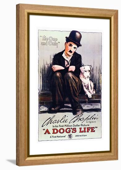 A Dog's Life - Movie Poster Reproduction-null-Framed Stretched Canvas