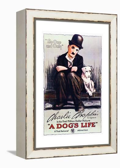 A Dog's Life - Movie Poster Reproduction-null-Framed Stretched Canvas