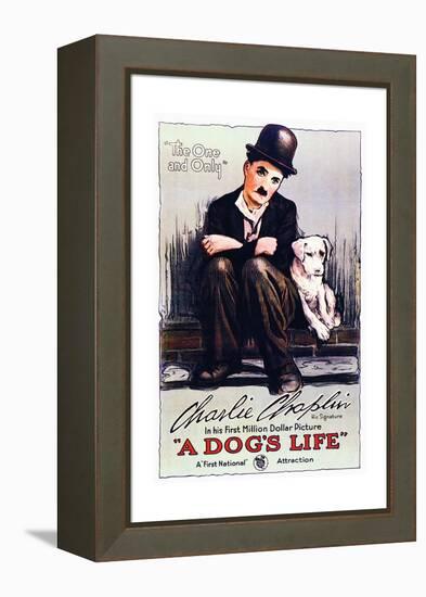 A Dog's Life - Movie Poster Reproduction-null-Framed Stretched Canvas