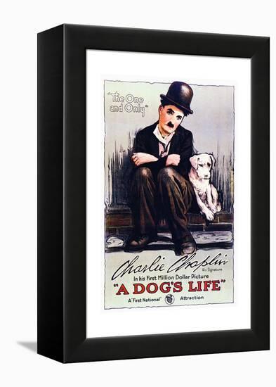 A Dog's Life - Movie Poster Reproduction-null-Framed Stretched Canvas