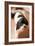 A Dog's Life V-Karyn Millet-Framed Photographic Print