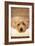 A Dog's Life VI-Karyn Millet-Framed Photographic Print