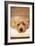 A Dog's Life VI-Karyn Millet-Framed Photographic Print