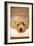 A Dog's Life VI-Karyn Millet-Framed Photographic Print