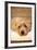 A Dog's Life VI-Karyn Millet-Framed Photographic Print