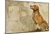 A Dog's Story 2-Elizabeth Hope-Mounted Giclee Print