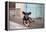 A Dog Sitting on a Pavement in Lencois, Chapada Diamantina National Park-Alex Saberi-Framed Premier Image Canvas