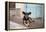 A Dog Sitting on a Pavement in Lencois, Chapada Diamantina National Park-Alex Saberi-Framed Premier Image Canvas