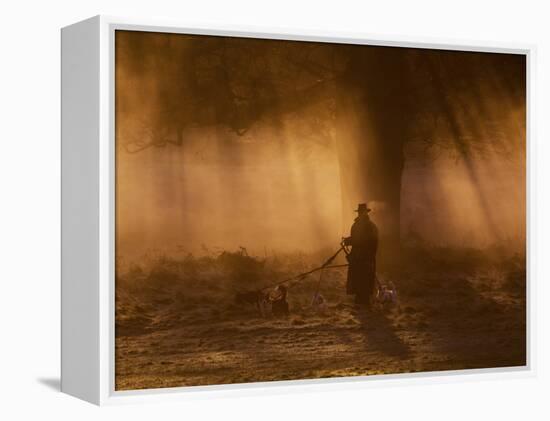 A Dog Walker Makes His Way with Four Dogs in the Early Morning Mist in Richmond Park-Alex Saberi-Framed Premier Image Canvas