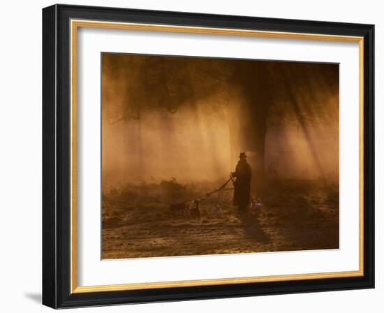 A Dog Walker Makes His Way with Four Dogs in the Early Morning Mist in Richmond Park-Alex Saberi-Framed Photographic Print