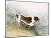 'A Dog Watching a Rat in the Water', 1831-John Constable-Mounted Giclee Print