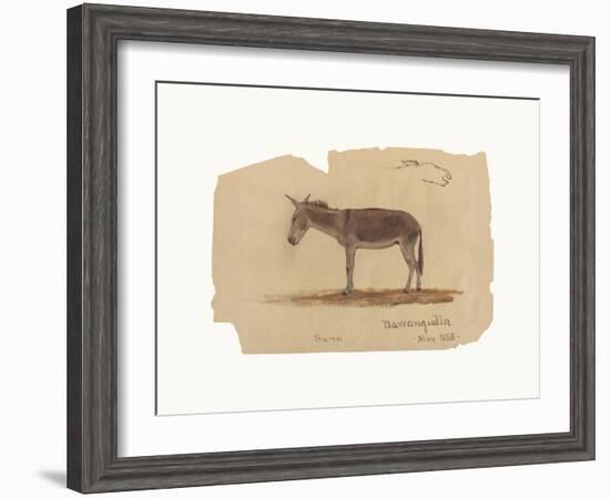 A Donkey, Barranquilla, Colombia-Frederic Edwin Church-Framed Premium Giclee Print