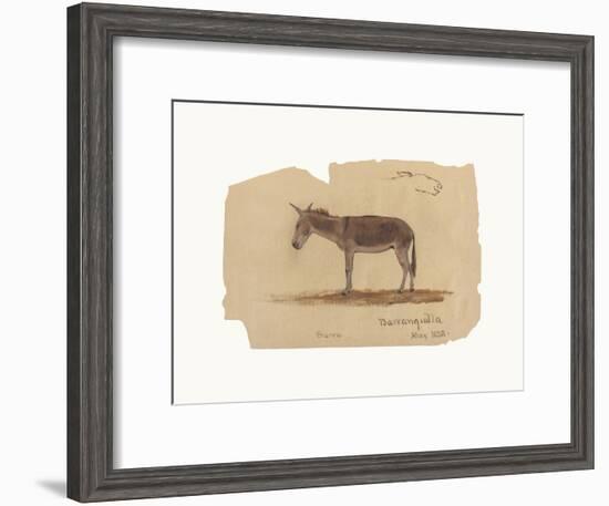 A Donkey, Barranquilla, Colombia-Frederic Edwin Church-Framed Premium Giclee Print