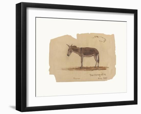 A Donkey, Barranquilla, Colombia-Frederic Edwin Church-Framed Premium Giclee Print