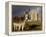 A Donkey Grazes in Front 17th Century Monea Castle, County Fermanagh, Ulster, Northern Ireland-Andrew Mcconnell-Framed Premier Image Canvas