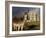 A Donkey Grazes in Front 17th Century Monea Castle, County Fermanagh, Ulster, Northern Ireland-Andrew Mcconnell-Framed Photographic Print