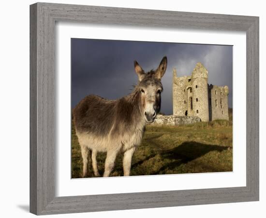 A Donkey Grazes in Front 17th Century Monea Castle, County Fermanagh, Ulster, Northern Ireland-Andrew Mcconnell-Framed Photographic Print