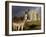 A Donkey Grazes in Front 17th Century Monea Castle, County Fermanagh, Ulster, Northern Ireland-Andrew Mcconnell-Framed Photographic Print