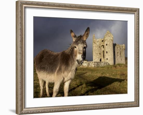 A Donkey Grazes in Front 17th Century Monea Castle, County Fermanagh, Ulster, Northern Ireland-Andrew Mcconnell-Framed Photographic Print