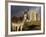 A Donkey Grazes in Front 17th Century Monea Castle, County Fermanagh, Ulster, Northern Ireland-Andrew Mcconnell-Framed Photographic Print