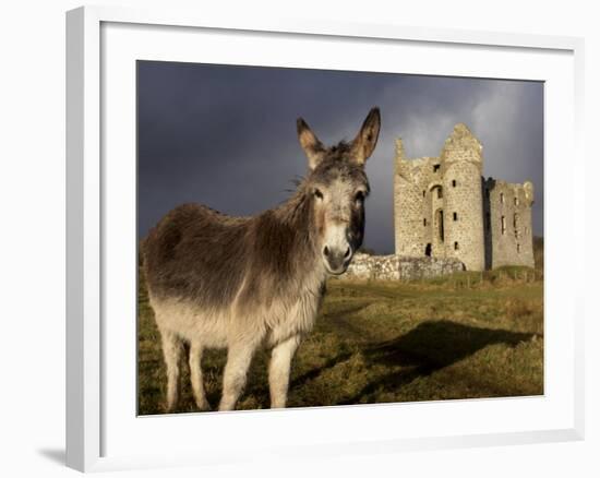 A Donkey Grazes in Front 17th Century Monea Castle, County Fermanagh, Ulster, Northern Ireland-Andrew Mcconnell-Framed Photographic Print