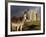 A Donkey Grazes in Front 17th Century Monea Castle, County Fermanagh, Ulster, Northern Ireland-Andrew Mcconnell-Framed Photographic Print