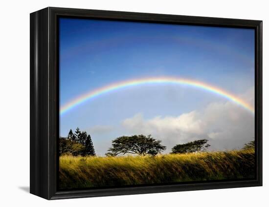 A Double Rainbow Above Countryside-Jody Miller-Framed Premier Image Canvas