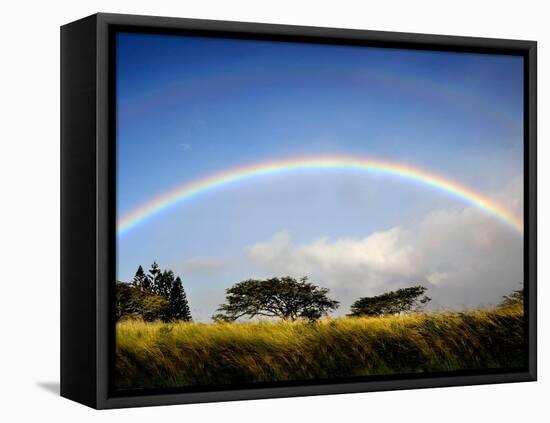 A Double Rainbow Above Countryside-Jody Miller-Framed Premier Image Canvas