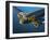 A Douglas C-53 Skytrooper in Flight Near Chino, California-Stocktrek Images-Framed Photographic Print