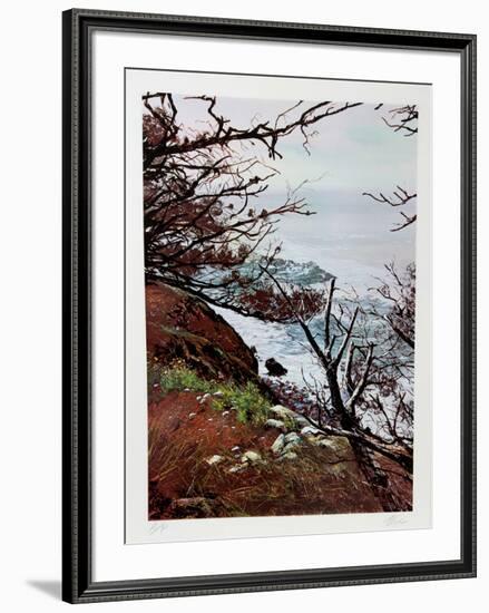 A Downward Glance-Uwe Werner-Framed Collectable Print