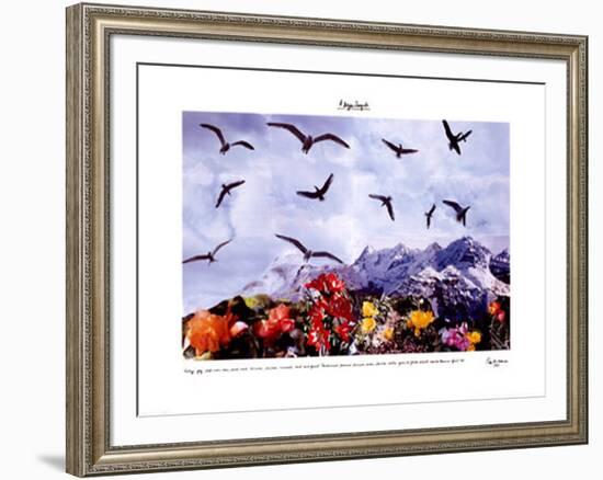 A Dozen Seagull, c.1997-Peter Hutchinson-Framed Art Print