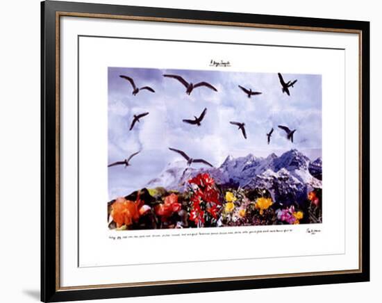 A Dozen Seagull, c.1997-Peter Hutchinson-Framed Art Print