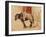 A Draft Horse at Céleyran, 1881 (Oil on Canvas)-Henri de Toulouse-Lautrec-Framed Giclee Print