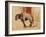 A Draft Horse at Céleyran, 1881 (Oil on Canvas)-Henri de Toulouse-Lautrec-Framed Giclee Print