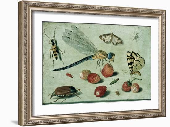 A Dragon-Fly, Two Moths, a Spider and Some Beetles, with Wild Strawberries, 17th Century-Jan Van, The Elder Kessel-Framed Giclee Print