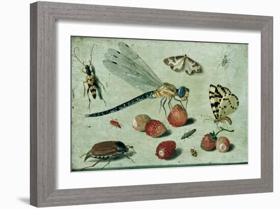 A Dragon-Fly, Two Moths, a Spider and Some Beetles, with Wild Strawberries, 17th Century-Jan Van, The Elder Kessel-Framed Giclee Print