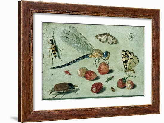 A Dragon-Fly, Two Moths, a Spider and Some Beetles, with Wild Strawberries, 17th Century-Jan Van, The Elder Kessel-Framed Giclee Print