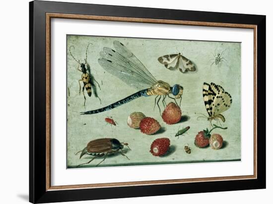 A Dragon-Fly, Two Moths, a Spider and Some Beetles, with Wild Strawberries, 17th Century-Jan Van, The Elder Kessel-Framed Giclee Print