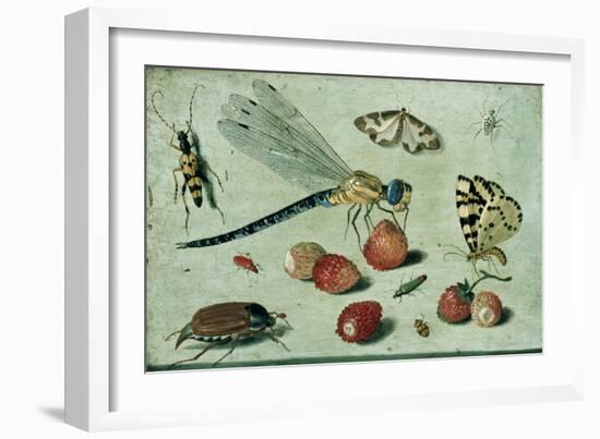 A Dragon-Fly, Two Moths, a Spider and Some Beetles, with Wild Strawberries, 17th Century-Jan Van, The Elder Kessel-Framed Giclee Print