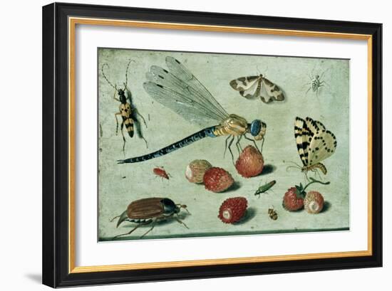 A Dragon-Fly, Two Moths, a Spider and Some Beetles, with Wild Strawberries, 17th Century-Jan Van, The Elder Kessel-Framed Giclee Print