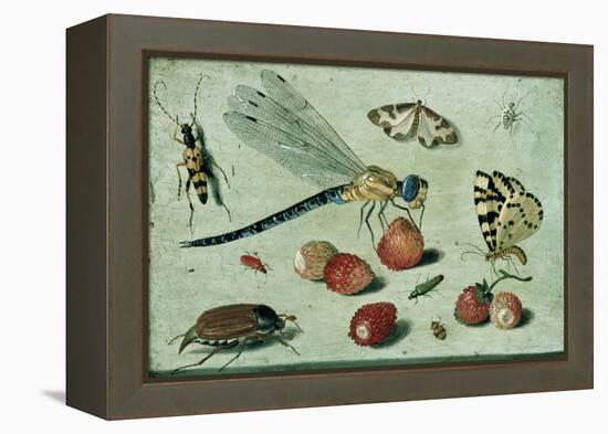 A Dragon-Fly, Two Moths, a Spider and Some Beetles, with Wild Strawberries, 17th Century-Jan Van, The Elder Kessel-Framed Premier Image Canvas