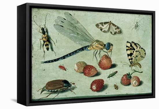 A Dragon-Fly, Two Moths, a Spider and Some Beetles, with Wild Strawberries, 17th Century-Jan Van, The Elder Kessel-Framed Premier Image Canvas