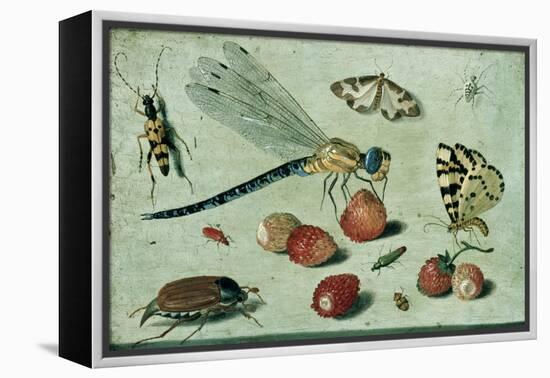 A Dragon-Fly, Two Moths, a Spider and Some Beetles, with Wild Strawberries, 17th Century-Jan Van, The Elder Kessel-Framed Premier Image Canvas