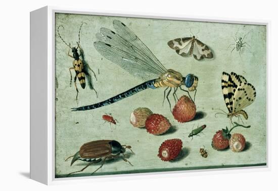 A Dragon-Fly, Two Moths, a Spider and Some Beetles, with Wild Strawberries, 17th Century-Jan Van, The Elder Kessel-Framed Premier Image Canvas