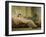 A Dream of Paradise, 1889-Frederick Goodall-Framed Giclee Print