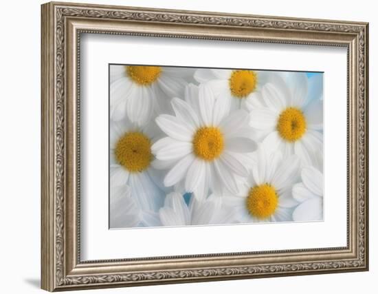 A dreamy feeling-Heidi Westum-Framed Photographic Print