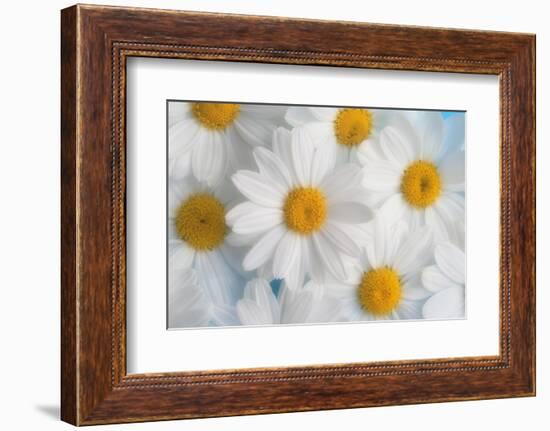 A dreamy feeling-Heidi Westum-Framed Photographic Print