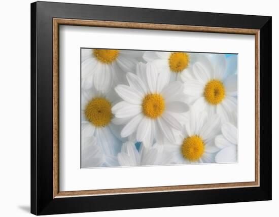 A dreamy feeling-Heidi Westum-Framed Photographic Print