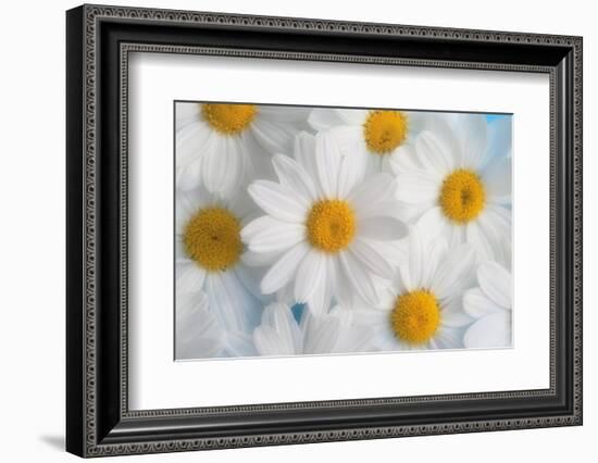 A dreamy feeling-Heidi Westum-Framed Photographic Print