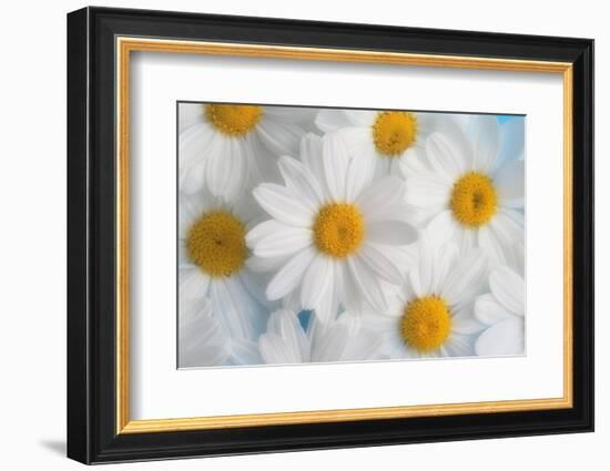 A dreamy feeling-Heidi Westum-Framed Photographic Print